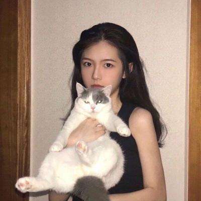 洛奇重生手游昆仑版下载